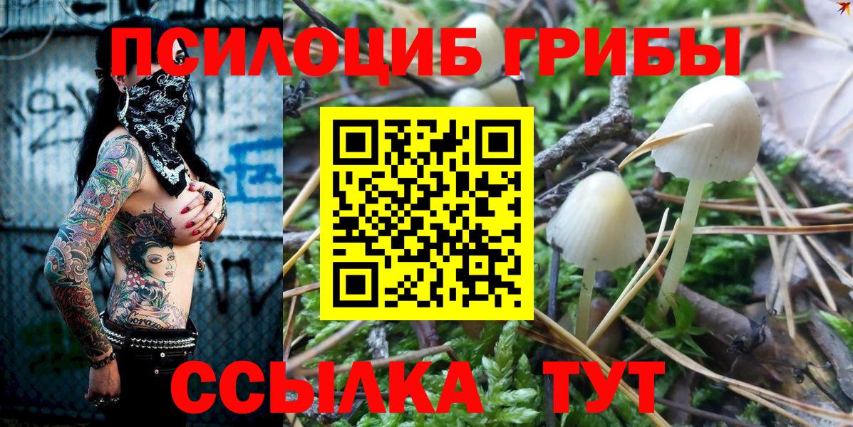 Псилоцибиновые грибы прущие грибы  Вход с VPN  Сочи 